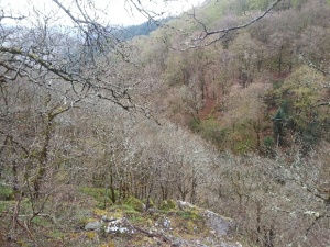 20160417_095849 (1)