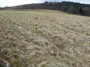20160425_132155