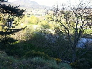 20160429_091421
