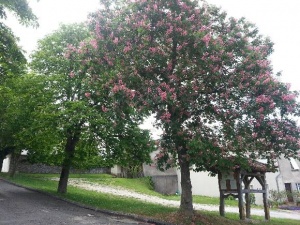 20160517_105926