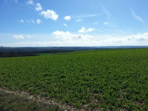 Etourvy1