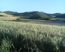IMG0017A (1)
