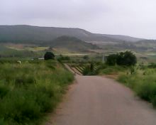 IMG0020A
