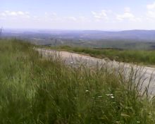 IMG0043A (1)